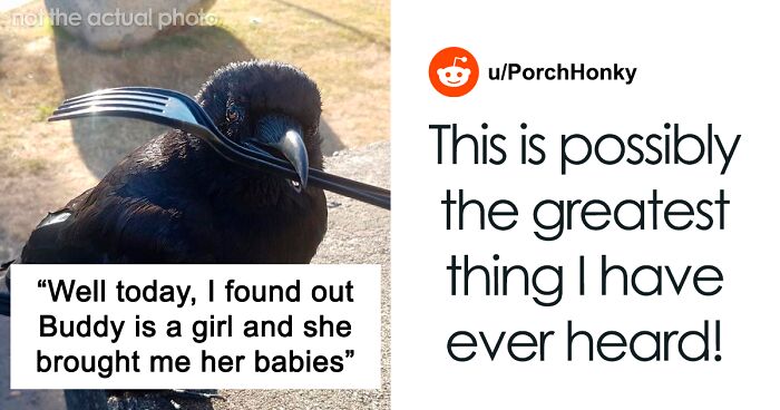 Woman Befriends Crow For Over 3 Years Until One Day She Brings Her Babies To Their Regular Hangout