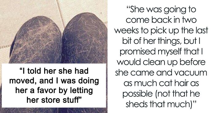 Person Gets Bashed By Cat-Allergic Ex-Roomie For Getting A Cat Before She Was Able To Gather The Rest Of Her Things