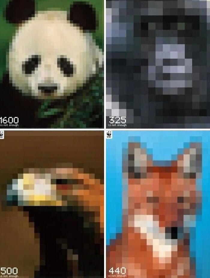 Un píxel por cada animal que quede de esa especie