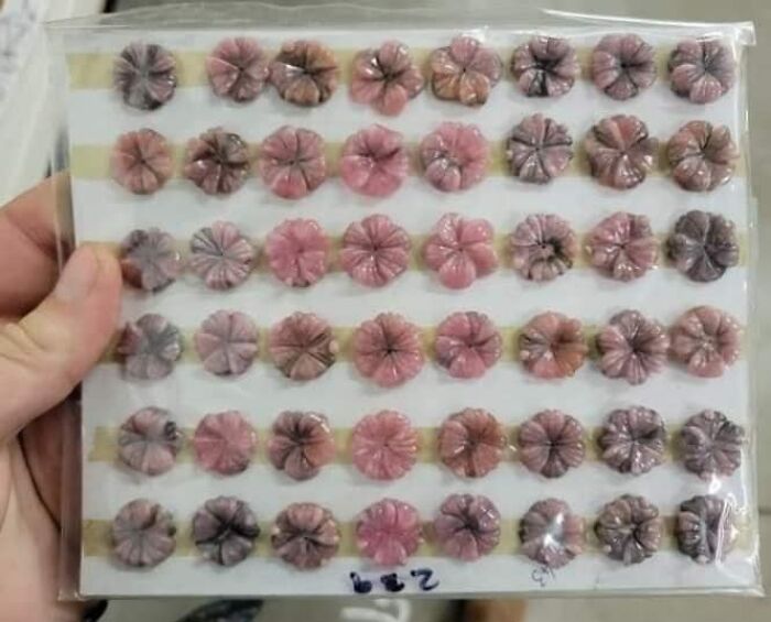 Posting Anonymously So I Don’t Get Kicked From The Other Group. They’re Pretty Flowers But Even Better Buttholes. “I Have These Carved Rhodochrosite Flowers Available For 10 Bucks A Blossom Or 5 For 40”