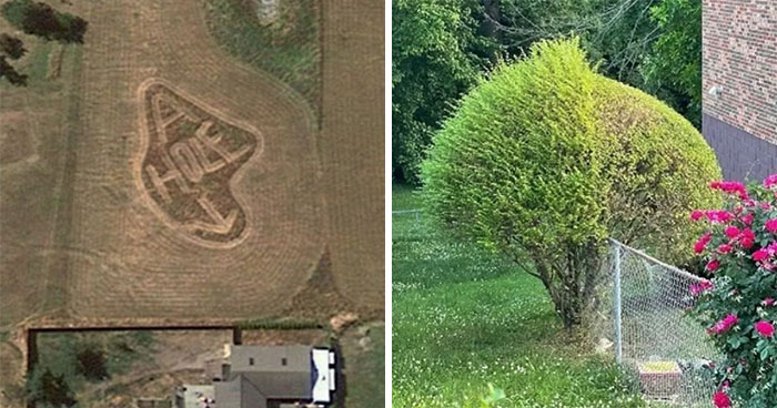 35 Times People Went Out Of Their Way To Make Their Gardens And Yards Unique But Ended Up With These (New Pics)