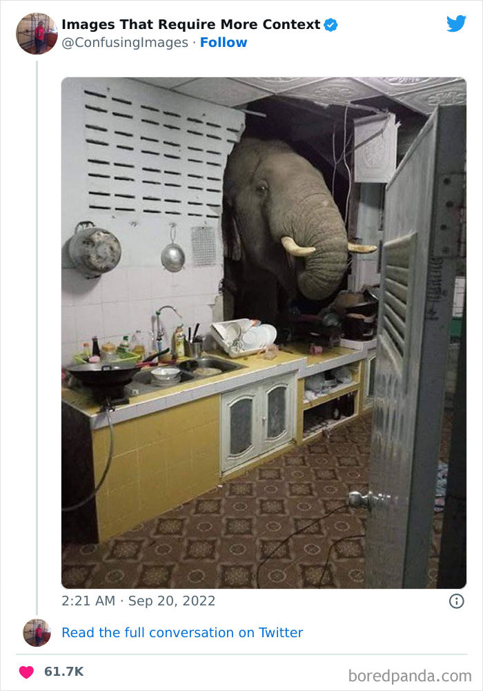 Funny-Confusing-Images-Need-More-Context