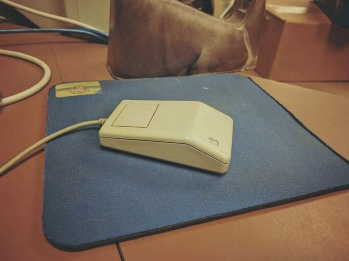 Una compañera de trabajo dijo que sólo aceptaría un mouse oficial de Apple, así que saqué este del almacén y lo dejé en su escritorio