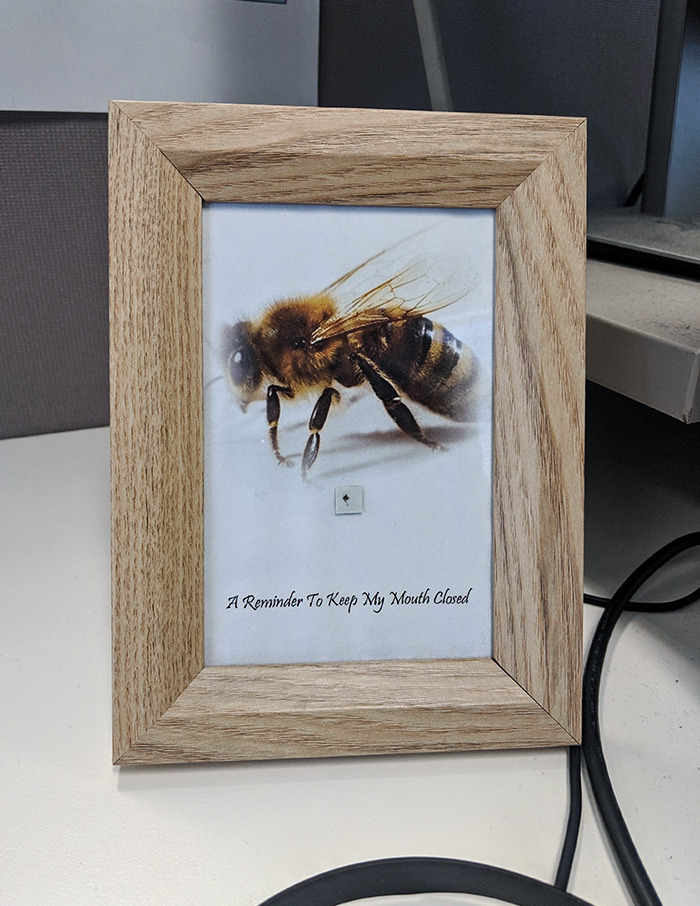 A mi colega le picó una abeja en la boca, el jefe enmarcó el aguijón y lo dejó en su escritorio