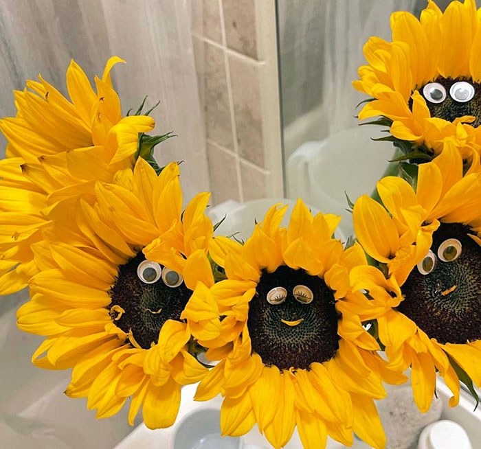 My Husband Bedazzled My Sunflowers