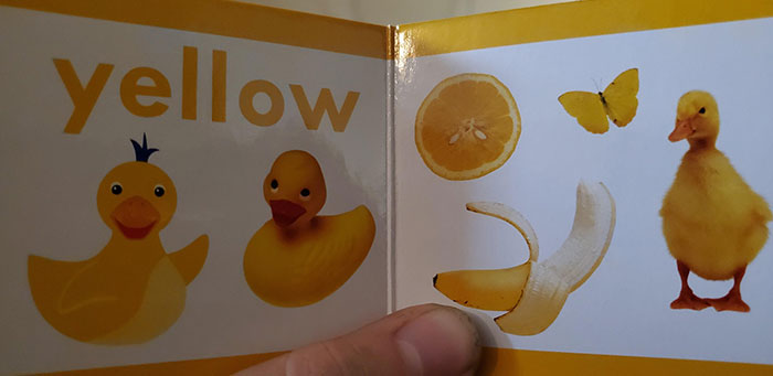 Kids Learning Book Shows 3 Ducks For The Color Yellow. Guess They Ran Out Of Ideas