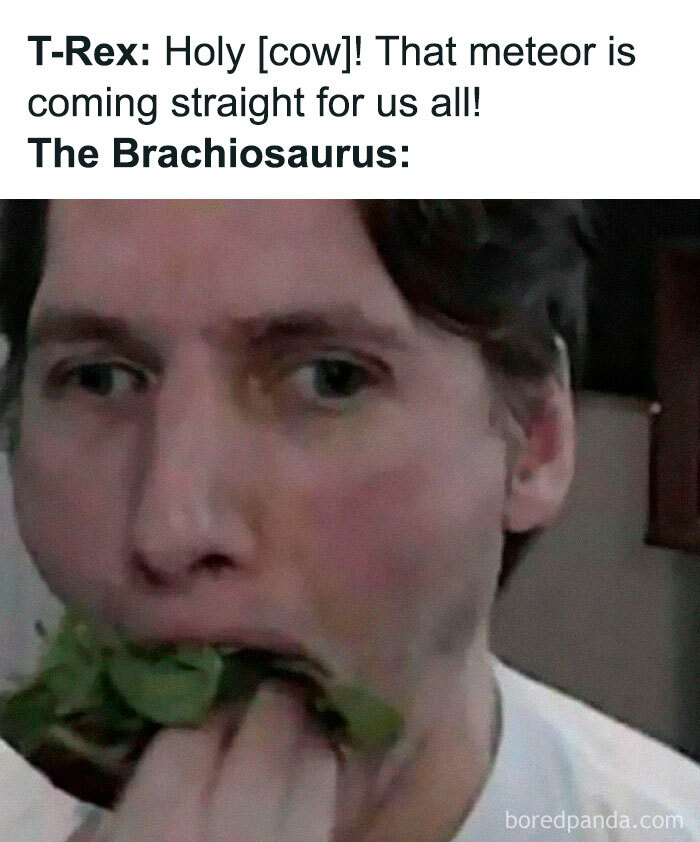 A person humorously mimicking a dinosaur eating leaves, captioned with a T-Rex and meteor joke. Educational memes theme.