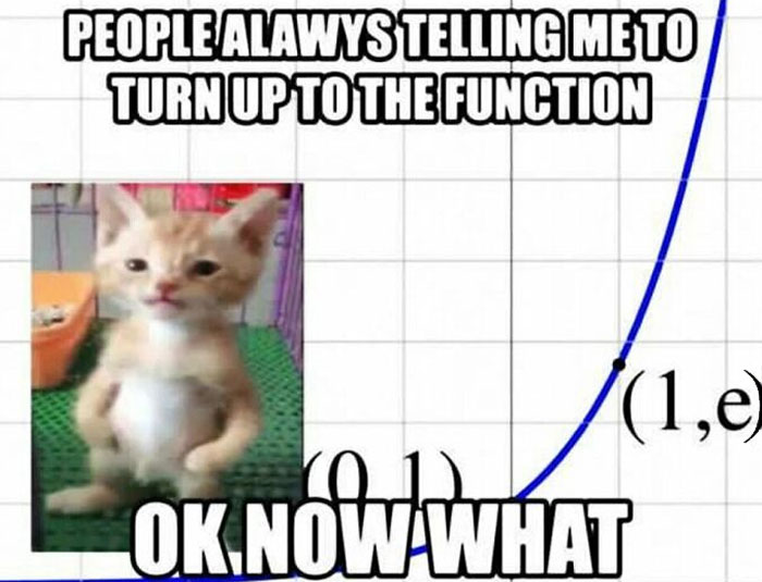 Funny-Memes-Memeseducational