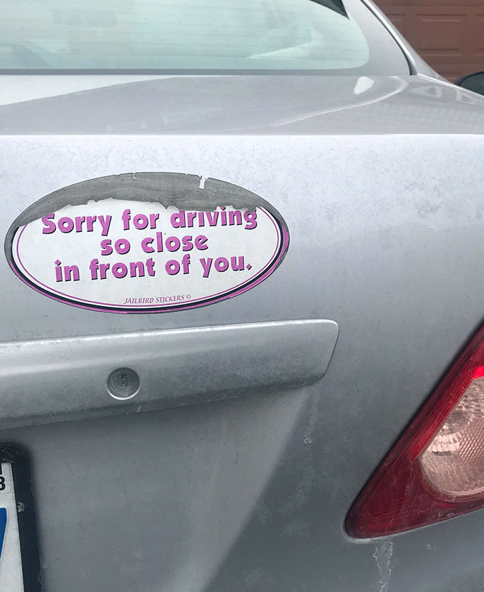 This Car Sticker
