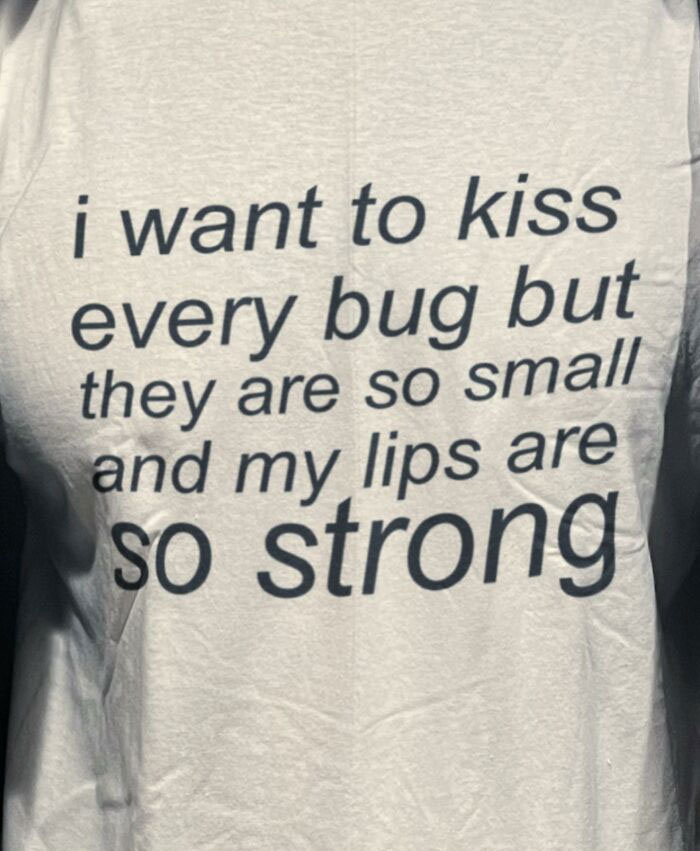I Wish I Could Kiss Every Bug In The World - Lil Wayne