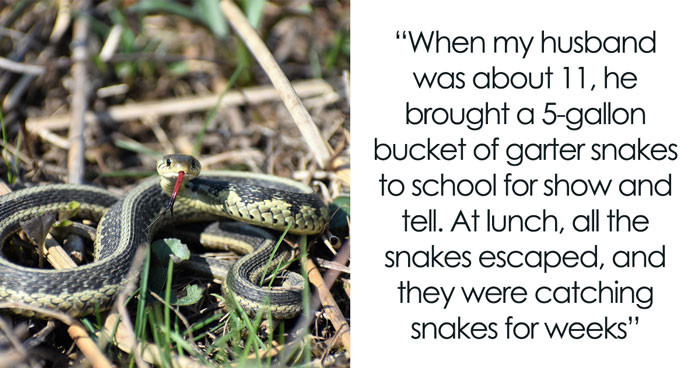 30 Stories Of How Something Chucklesome Happened In School And It Spiraled Out Of Control, As Shared Online