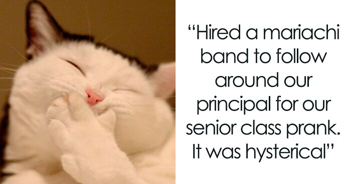 30 Stories Of How Something Chucklesome Happened In School And It Spiraled Out Of Control, As Shared Online