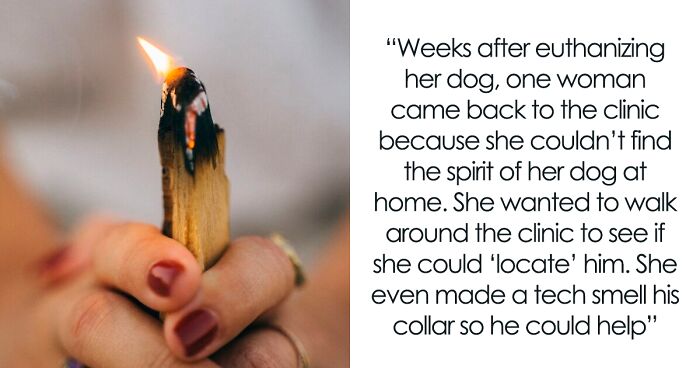 41 Hilarious Stories From Vets About Pets And Their Sometimes Clueless Owners