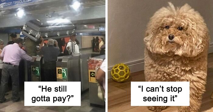 40 ‘Cursed Images’ Posted On This Account That Might Give You Goosebumps (New Pics)