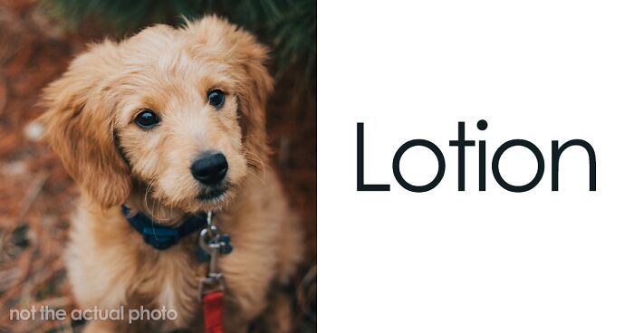 Pet Insurance Team Shares The Most Creative Names They’ve Come Across At Work, And Here Are 77 Of The Best Ones