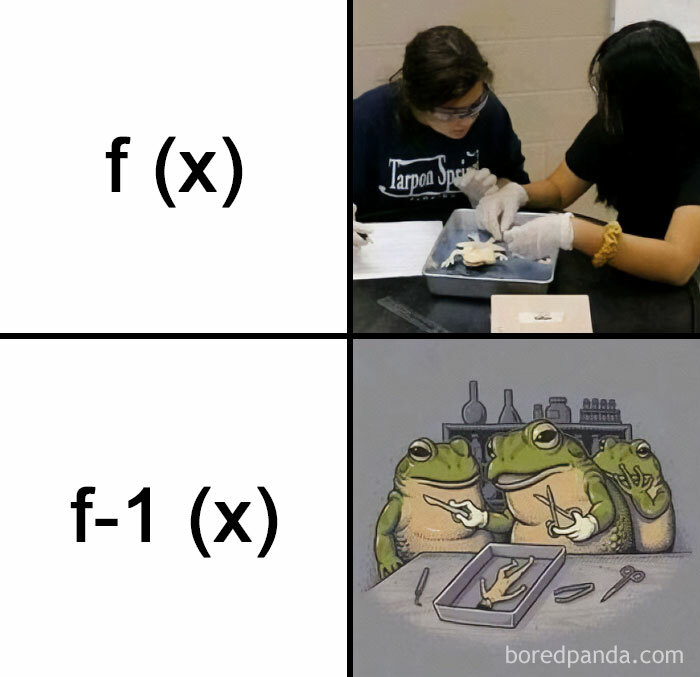 Opinions about Math - Meme by MonkeyRange :) Memedroid