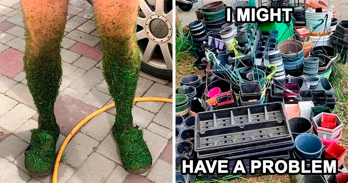 30 Hilarious Memes That Might Hit Too Close To Home For People Who Can’t Just Go Past A Plant