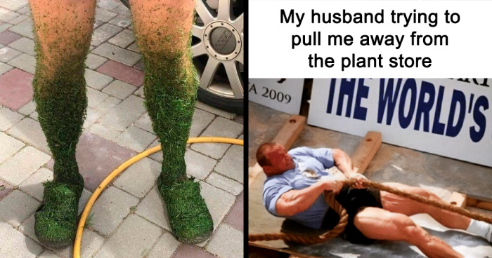 39 Hilarious Memes That Might Hit Too Close To Home For People Who Can’t Just Go Past A Plant