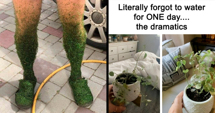 Planting memes. Best Collection of funny Planting pictures on