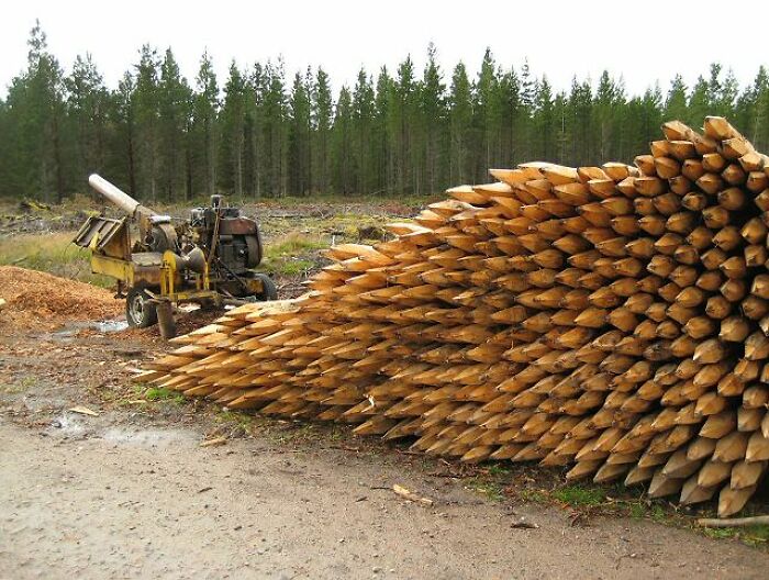 Multiple wooden stakes stacked in the forest 