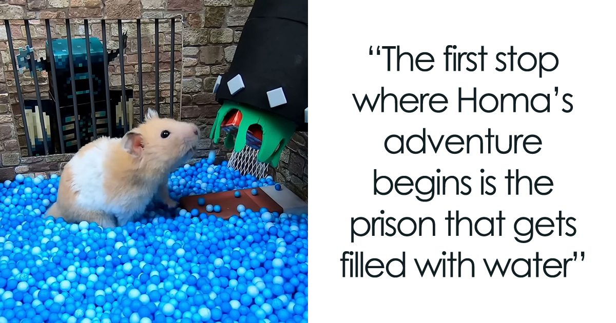 "Minecraft Hamster Homa": I Made An Underwater Prison Maze With An Obstacle Course For My Little Pet - Vimarsana News