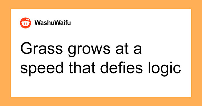 “Study Your Potential Neighbors”: Homeowners Share 40 Things They Wish They Had Known Before Buying Their First Houses