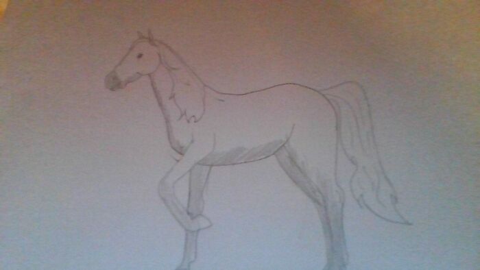 A Standing Horse