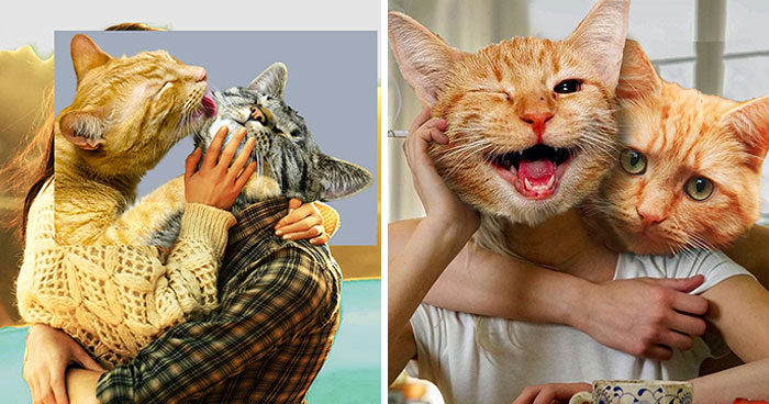 30 Photo Collages Featuring Cats By Selftasy