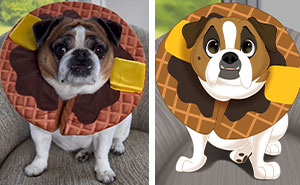 People Send Pictures Of Their Pets To This Artist To Get Them ‘Disneyfied’ (32 New Pics)