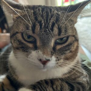 emily_jacob_794 avatar