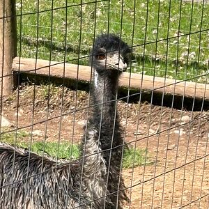 jenniferknox93 avatar