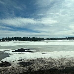 bobbiezavala_1 avatar