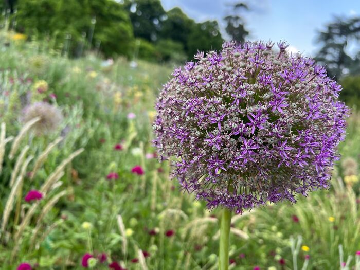 The Beauty Of Nature: 7 Photographs I Took