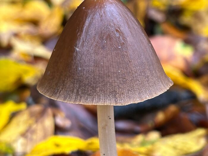 The Beauty Of Nature: 7 Photographs I Took