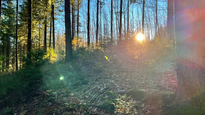 The Beauty Of Nature: 7 Photographs I Took