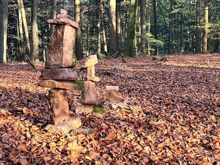 The Beauty Of Nature: 7 Photographs I Took