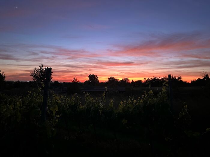 The Beauty Of Nature: 6 Photographs I Took