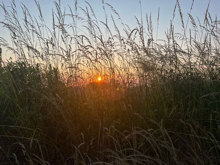 The Beauty Of Nature: 6 Photographs I Took