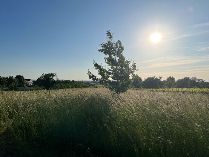 The Beauty Of Nature: 6 Photographs I Took