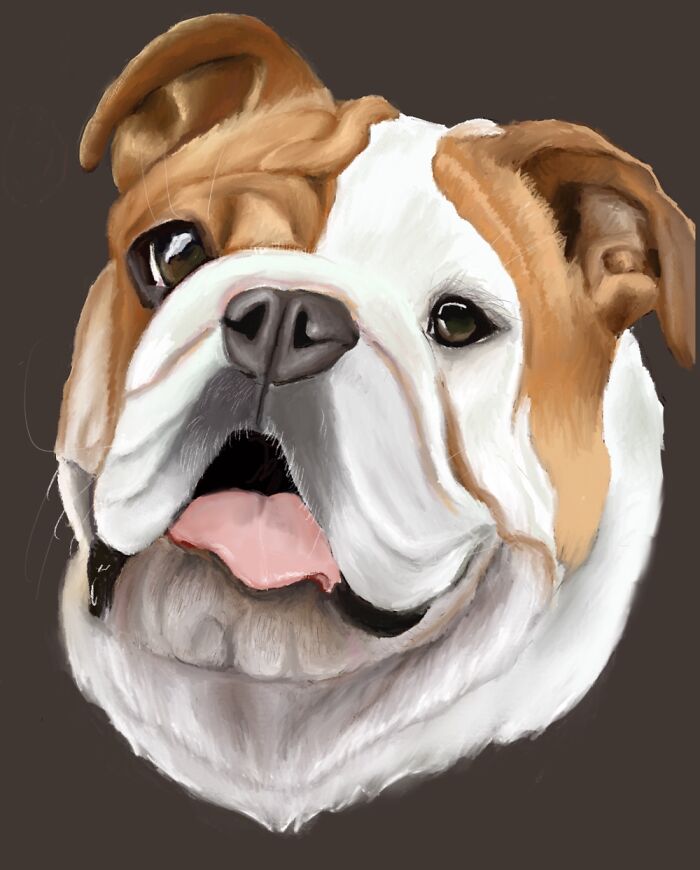 Brian The Bulldog. Digital Portrait Made On An iPad