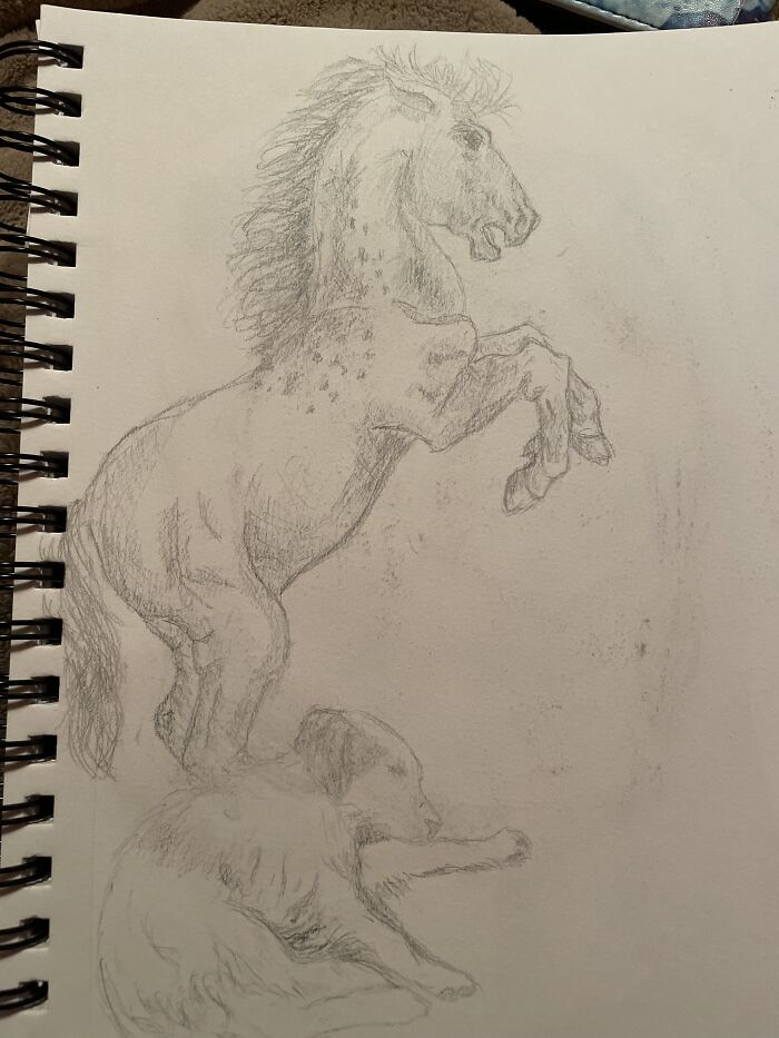 I Smudged It 😭😭