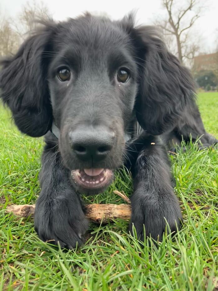 Wherever This Boy Is