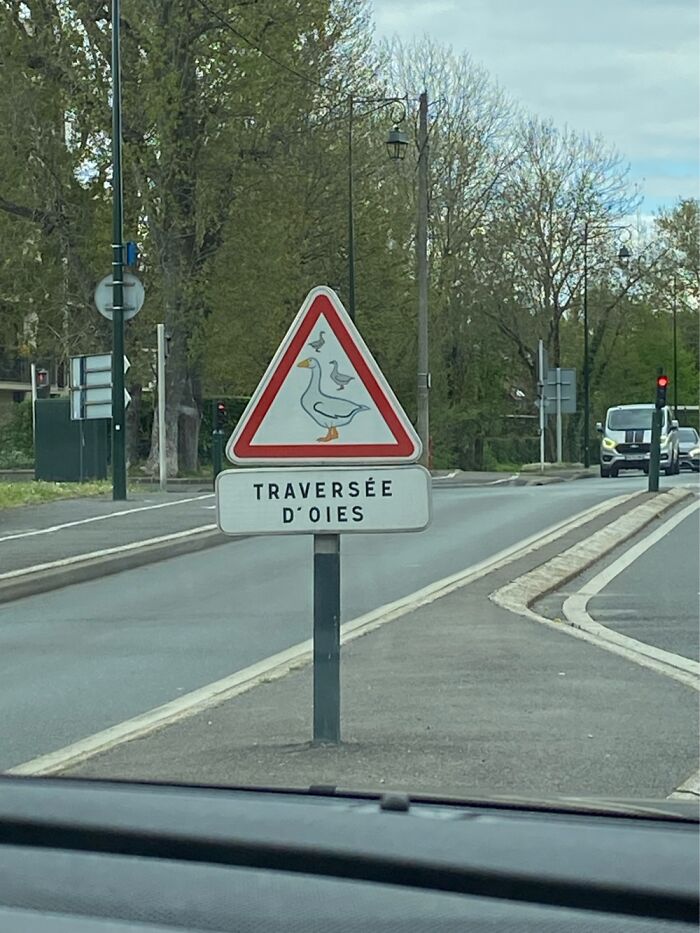 It Says « goose Crossing » I Find It Really Funny