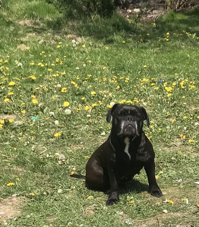 My Best Friend Of 5 Years, Miss Agnes