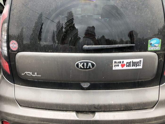 How Many Honks They Getting??