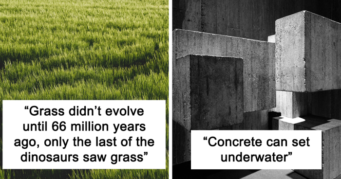 40 Interesting Facts That Barely Anyone Seems To Know
