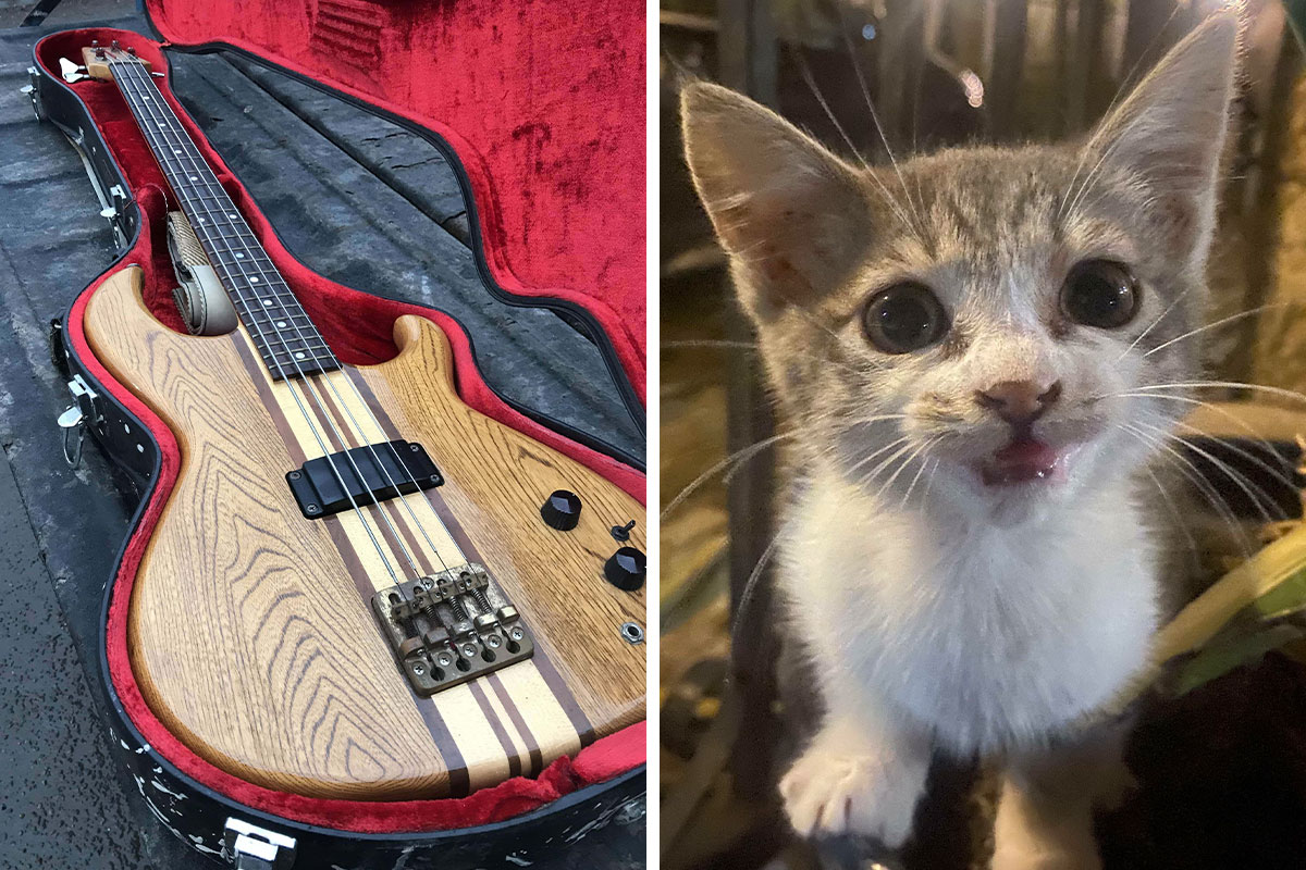 35 Times People Went ‘Dumpster Diving’ And Didn’t Regret It (New Pics