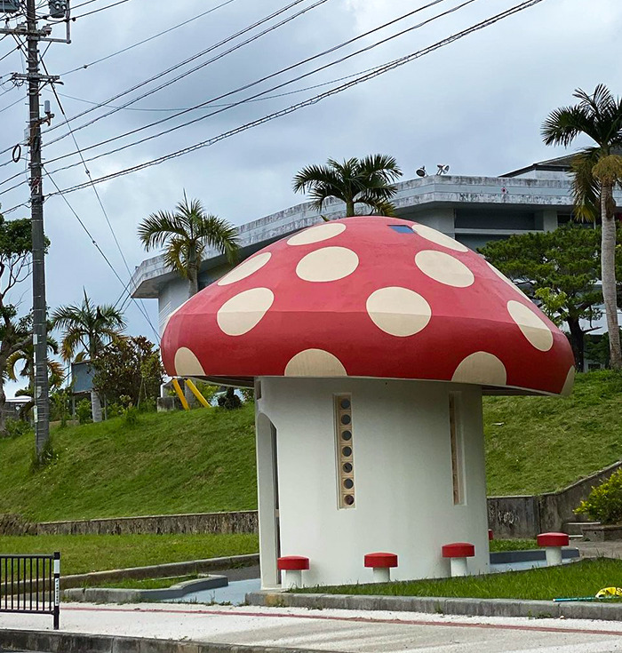 The Mushroom Bus Stop