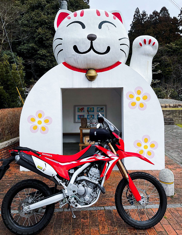 Cat Bus Stop, Japan