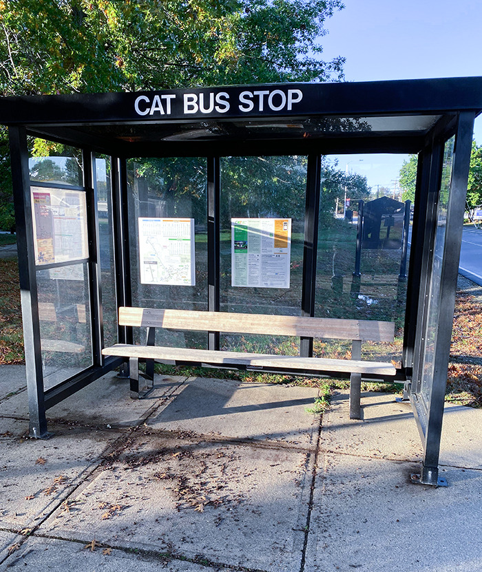 I Found Totoro’s Bus Stop